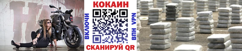 цена наркотик  Новомосковск  Cocaine Эквадор 