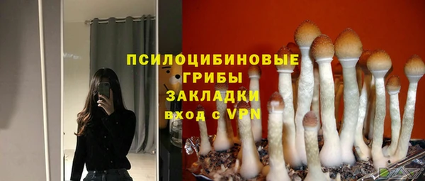 2c-b Алзамай